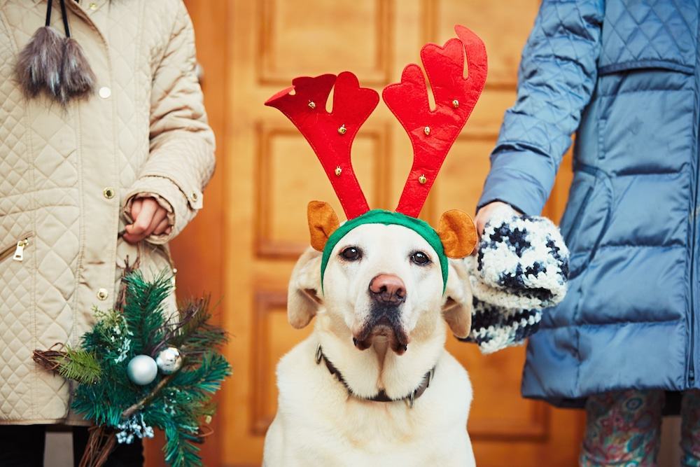 We need to talk about Christmas…