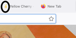 Favicon Pic