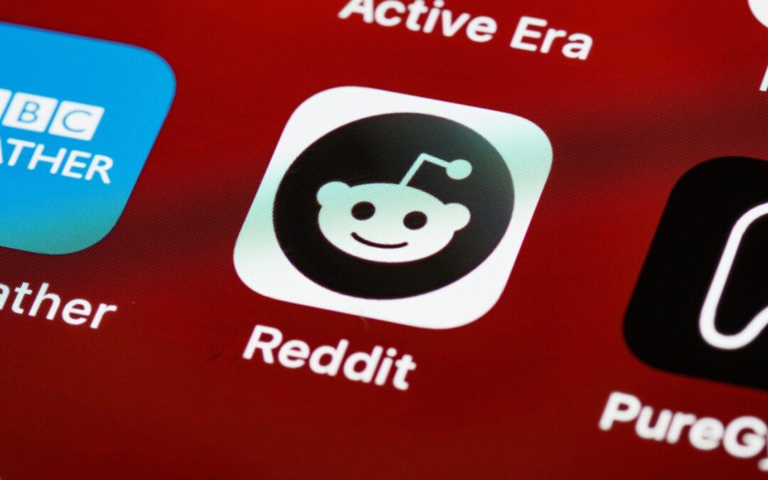 Our latest blog post, have you reddit?