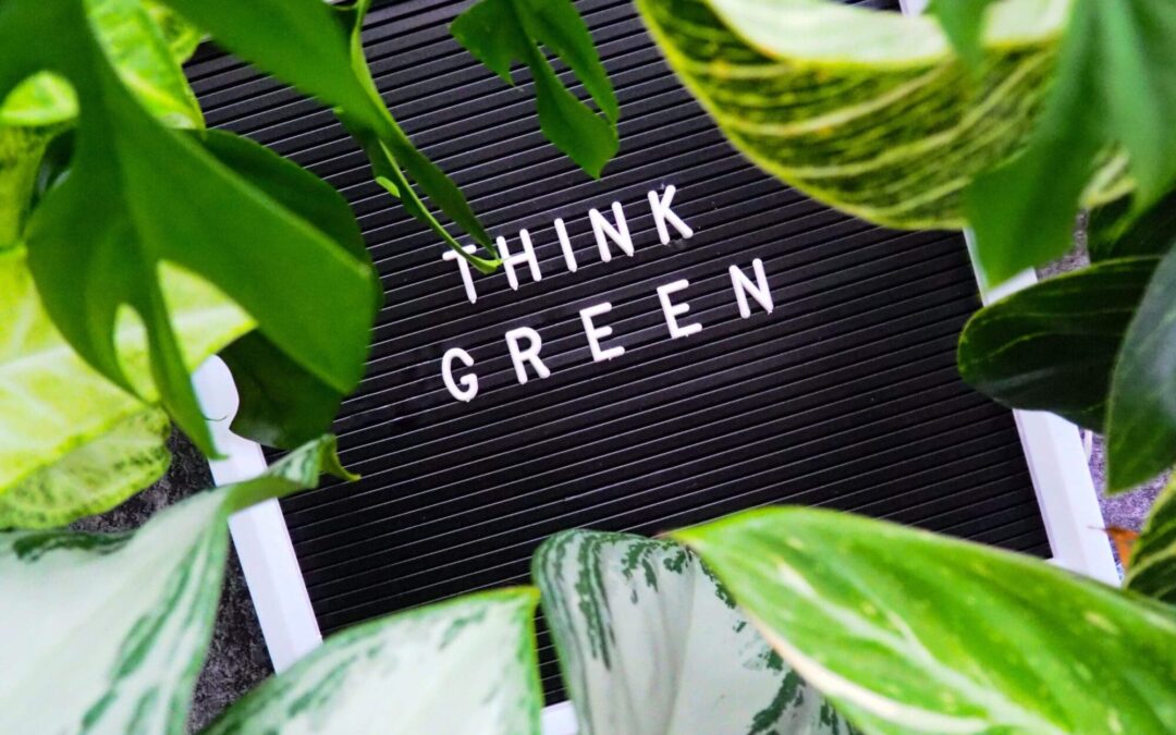Have you heard the one about the green cherry…?