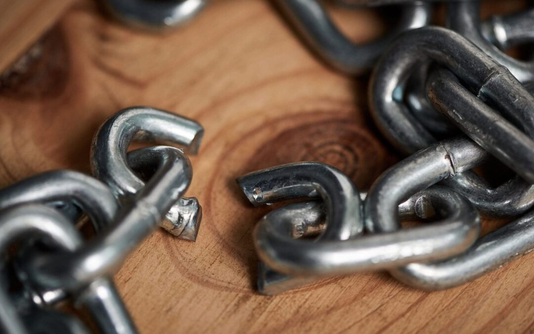 Don’t let your websites traffic & credibility rot…